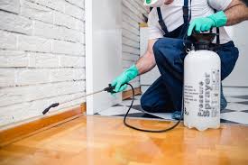 Best Fumigation Services  in English Creek, NJ